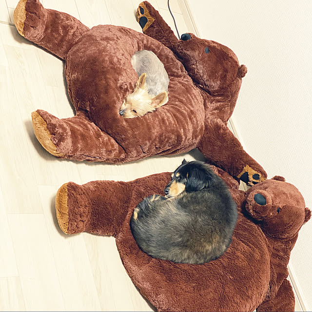 ohanaさんの実例写真