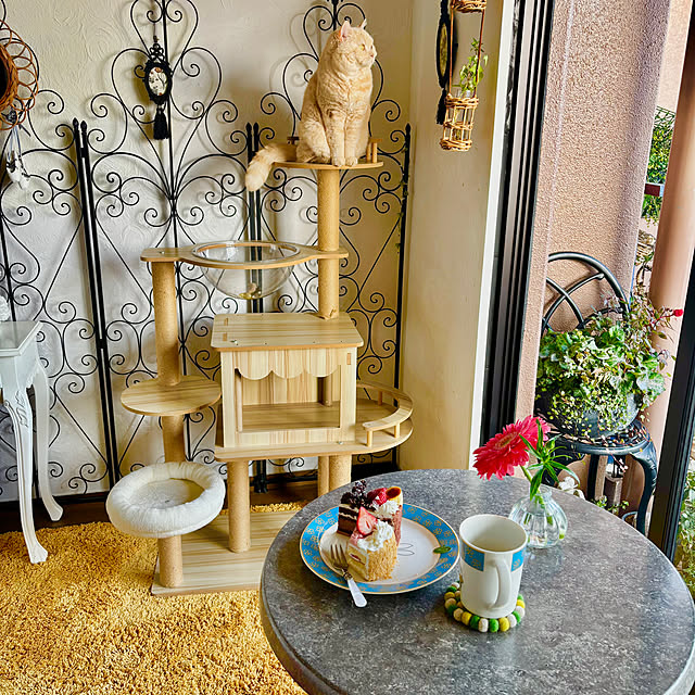 naokoさんの実例写真