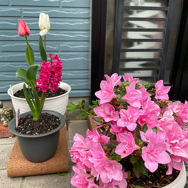 kyukoさんの部屋