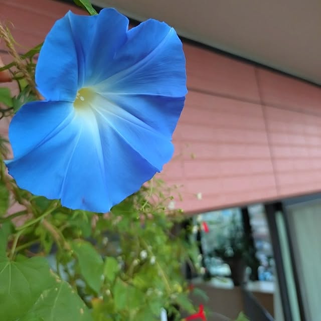 NOAHさんの実例写真