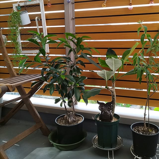 hiro3さんの部屋