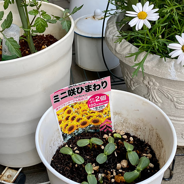 YuuKoさんの部屋