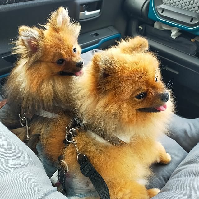 michiさんの部屋