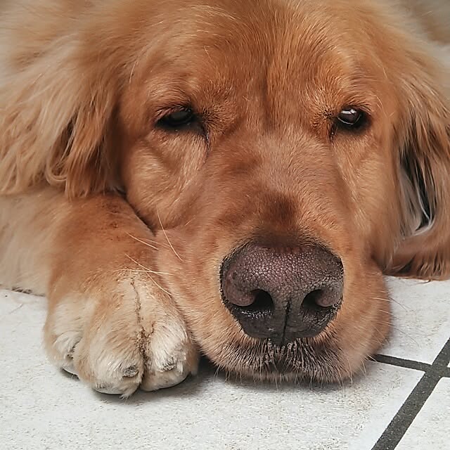 toshioさんの実例写真
