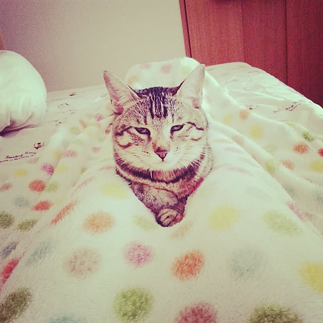 Sayakaさんの実例写真