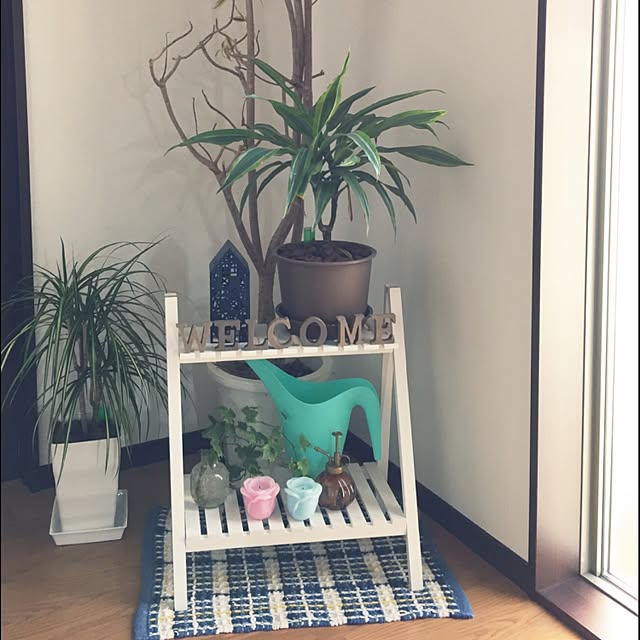 lilyさんの実例写真