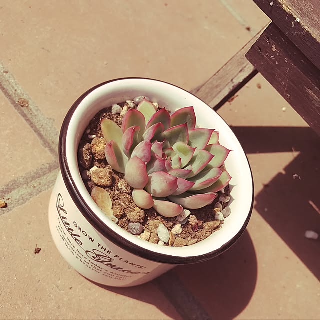 candyspeaker217さんの実例写真