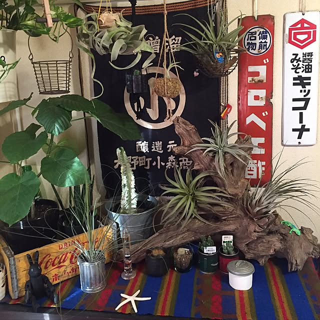 1623さんの実例写真