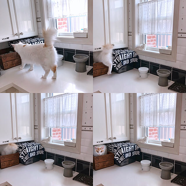 yuchiさんの実例写真