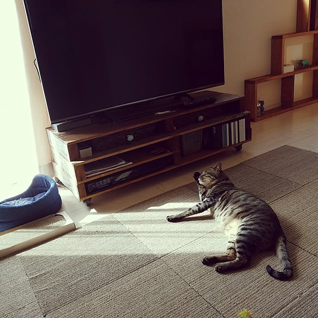 t-famさんの実例写真