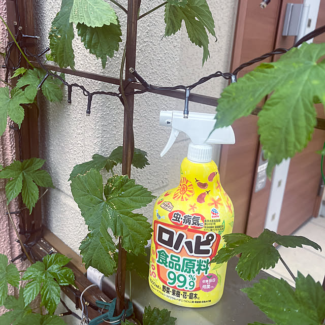 pekoさんの実例写真