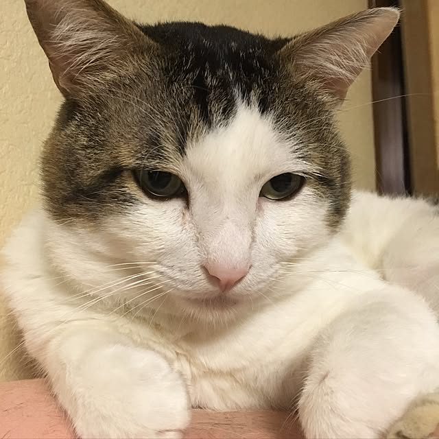 mariaさんの実例写真