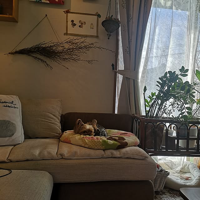 akiさんの実例写真