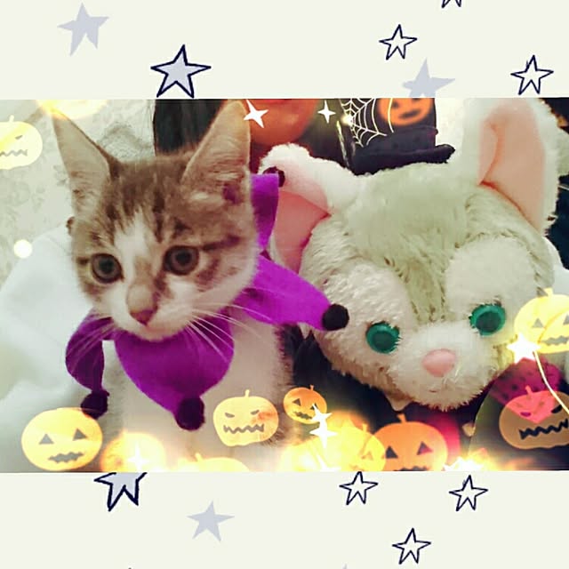 totoko3927さんの実例写真