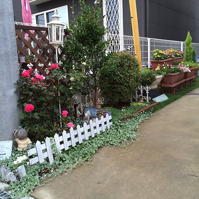 mikan0607さんの実例写真