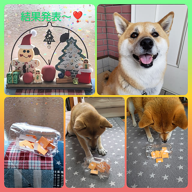 nanaさんの実例写真
