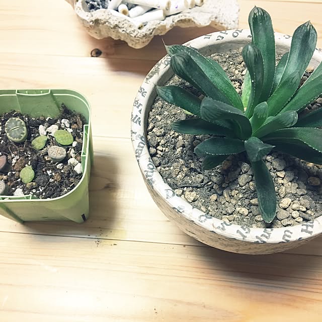 Takeshiさんの実例写真