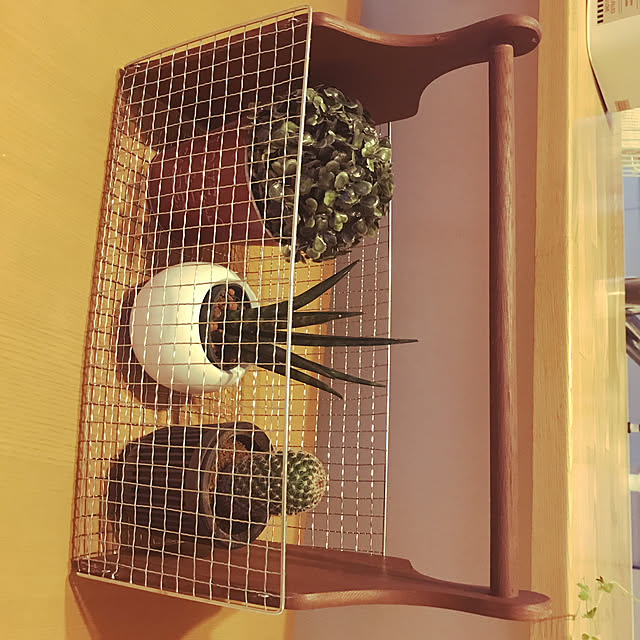 HIYOさんの実例写真