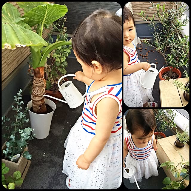 Sayakaさんの実例写真