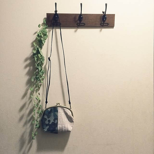 Gingaさんの実例写真