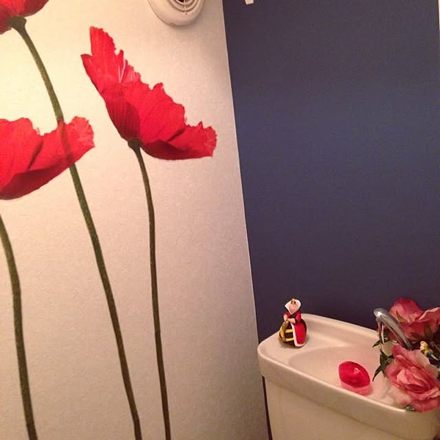 scanjumpさんの実例写真