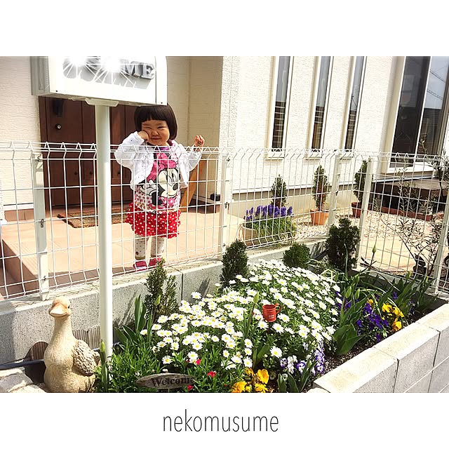 nekomusumeさんの実例写真