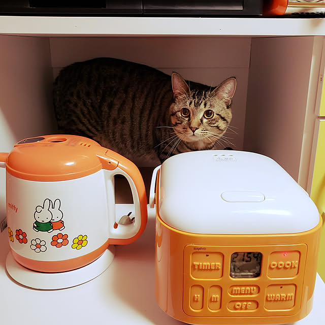 ayucchiさんの実例写真