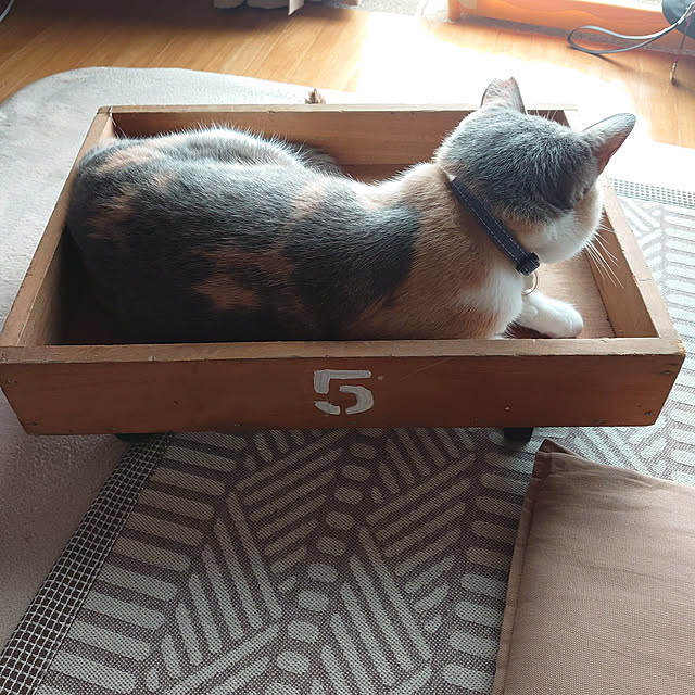fukuさんの実例写真