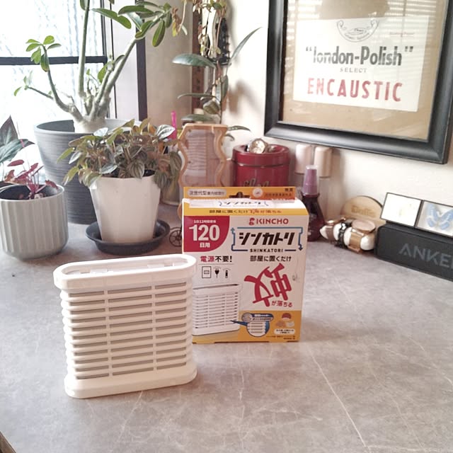 okameさんの実例写真