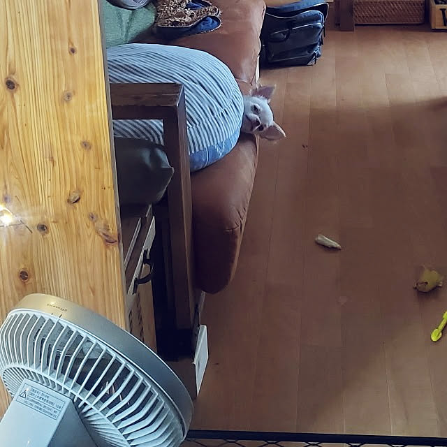 maaaaroさんの実例写真