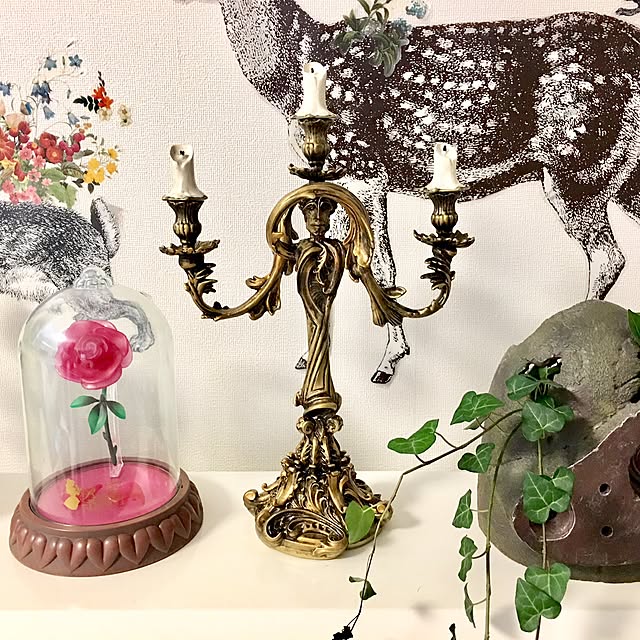 棚/観葉植物のインテリア実例 - 2017-07-12 17:42:33