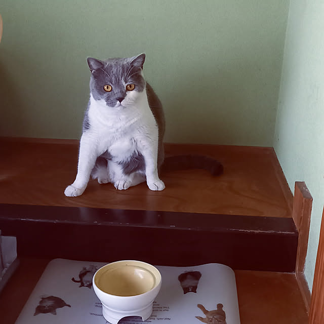 rhuさんの実例写真