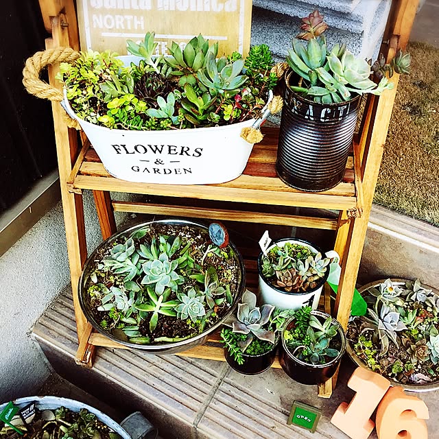 omikoさんの実例写真