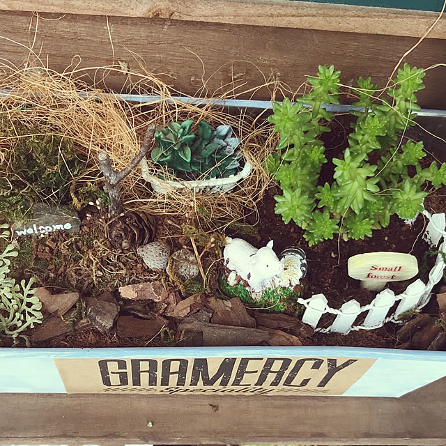 puku-pukuさんの実例写真