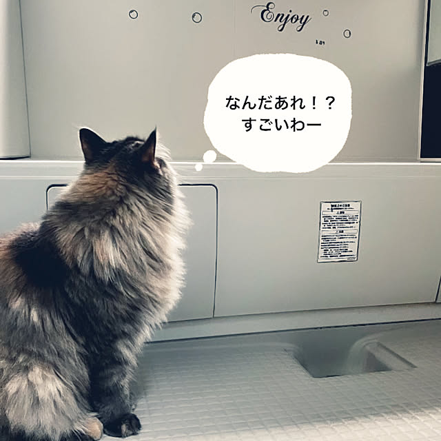 mayumiさんの部屋