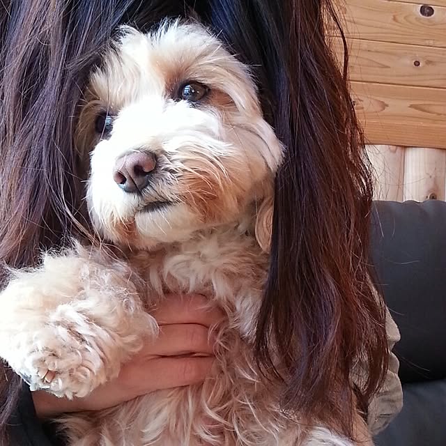 makaronさんの実例写真