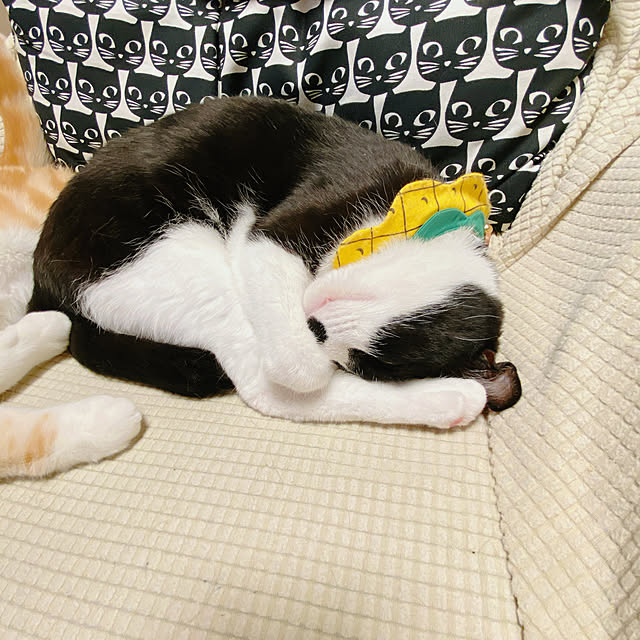 moolさんの部屋