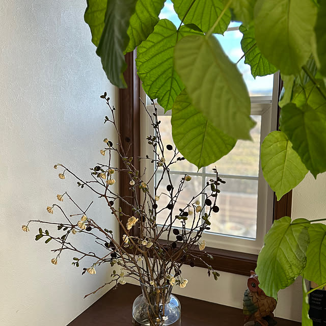 nana77さんの部屋