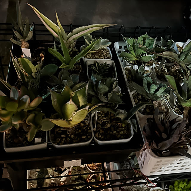 yaiyai38さんの部屋