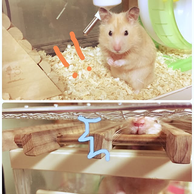 fruity anさんの実例写真