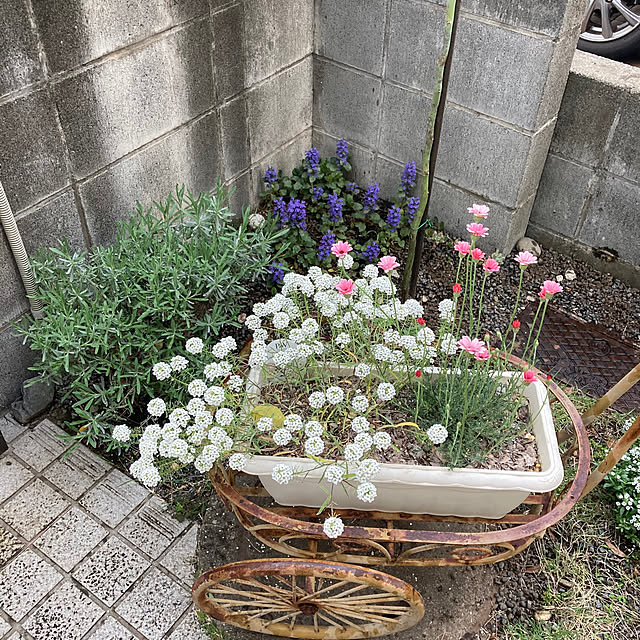 mamaさんの実例写真