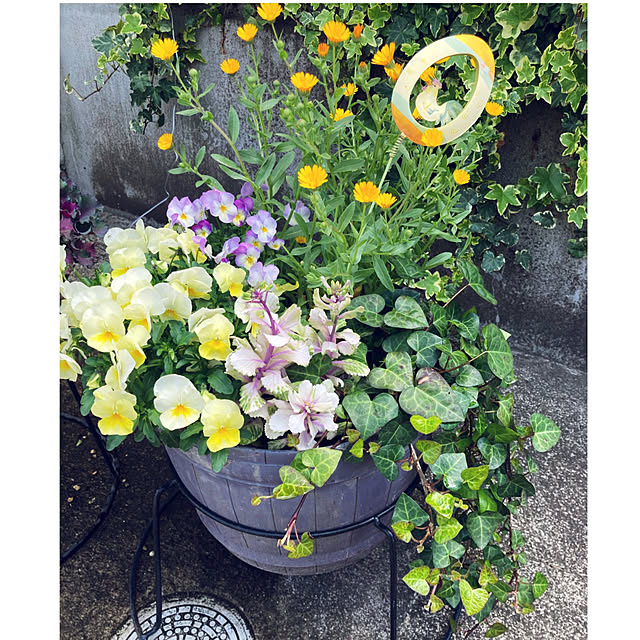 CoCo0617さんの実例写真