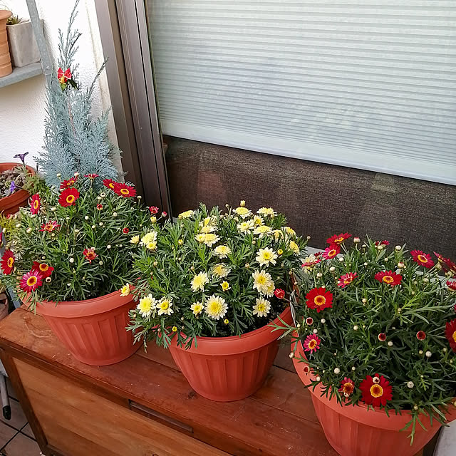 VERANDARJUNさんの実例写真