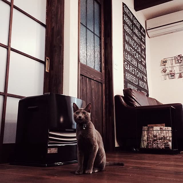 capelさんの実例写真