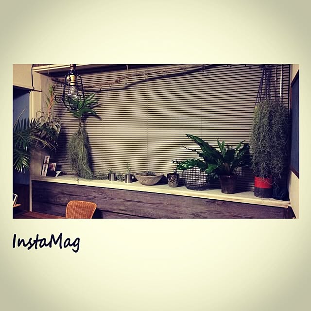 Ayamiさんの実例写真