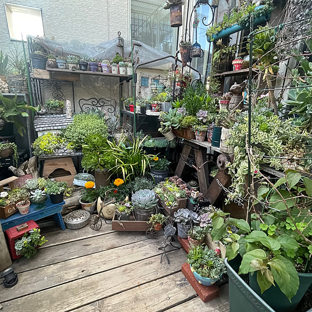 calmeさんの部屋