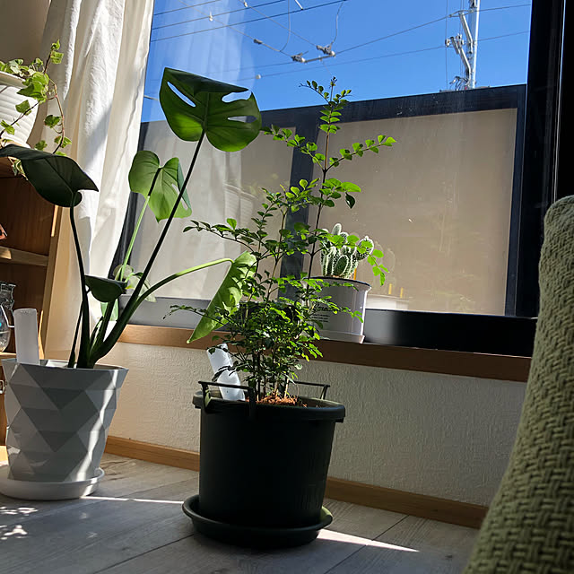 makiさんの実例写真