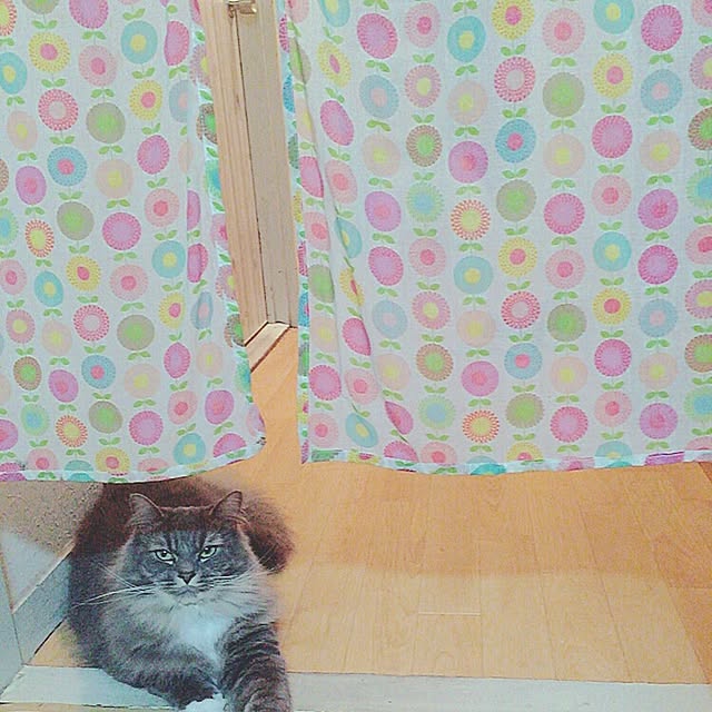 mii-tanさんの実例写真