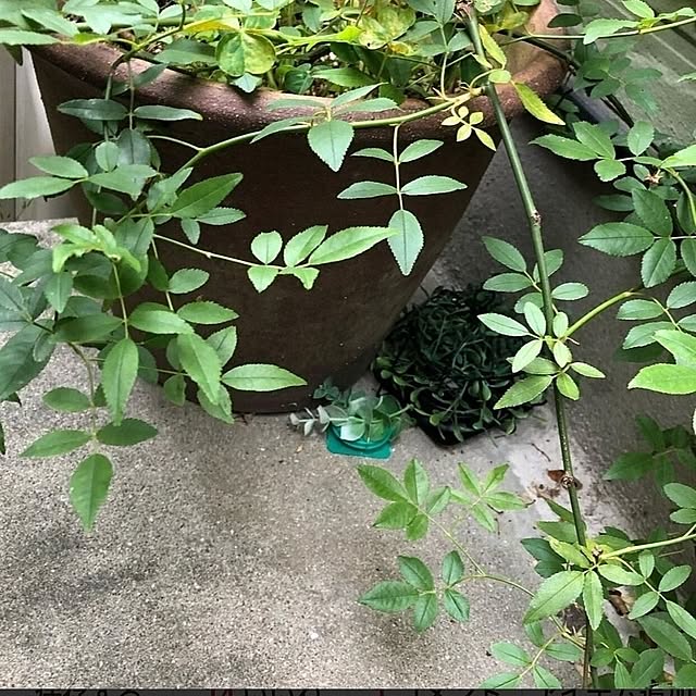 mori_6_12さんの部屋
