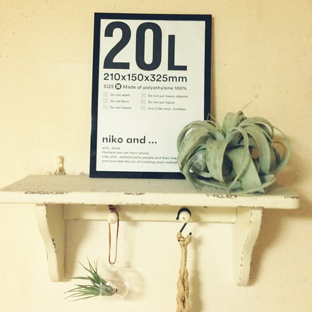 壁/天井/NO GREEN NO LIFE/100均/プラントハンガー/雑貨...などのインテリア実例 - 2015-01-21 15:27:34